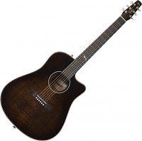 Акустична гітара Seagull Artist Peppino Signature CW