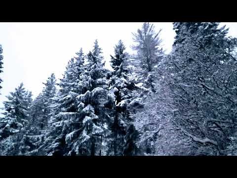 Project 12 29 Full HD 1080p HIGH FR30