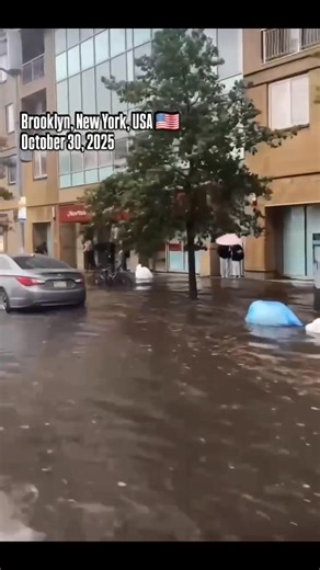 VIDEO: Omo see flood take over the Saner clime 😭😮👇 When a flood hit New York, Obidiots that Uzelezz Tunde eggnut and Scot attributed it to natural causes, but when a flash flood occurs in Lagos, they blame Sanwo-Olu and Wahab... Awon asiere Gbogbo 👇 💀 | My Impact Blog