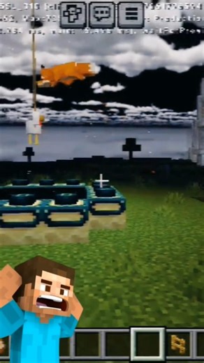 I do prank in Minecraft with fox🦊