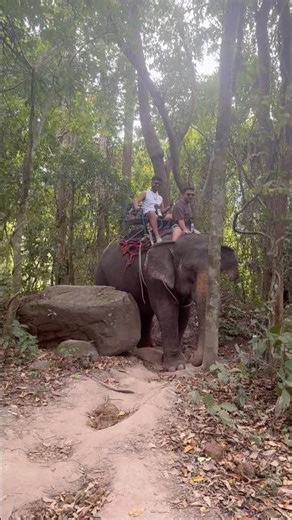 Bir gün ‘file binelim’ dedik… ve gerçekten yaptık! 🐘 #fil #macera