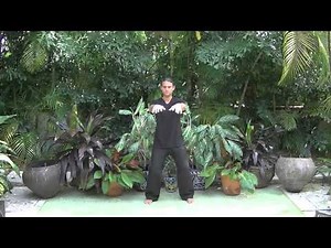 Golden Ball - Qigong Exercise