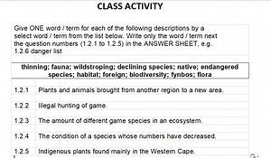 Give ONE word / term for each of the following descriptions by ... | Filo