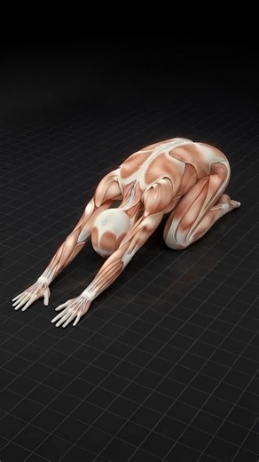 Child's Pose for Spine Reset and Deep Back Relaxation