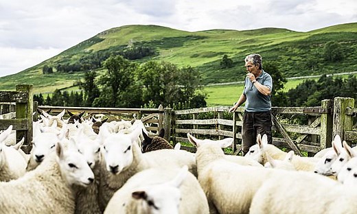 MIDAS: Ten top tips as UK shares are the biggest bargain in decades