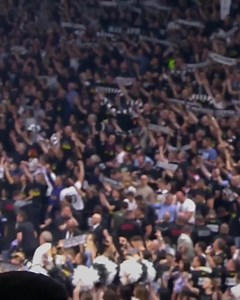 Lo spettacolo della Stark Arena di Belgrado. Un’atmosfera unica 😍🤍🖤 | BasketUniverso