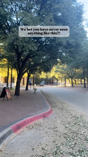 THE POOP BIKE IS HERE! #PetWasteRemoval #HomeService | Scoop Soldiers - Seattle | Facebook