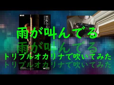 「雨が叫んでる」(田原俊彦) ドラマ「逃亡者」主題歌 トリプルオカリナで吹いてみた