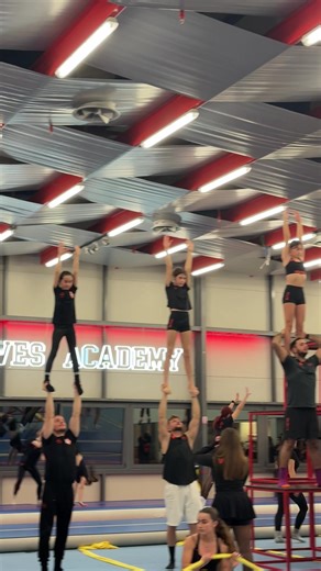 Βίντεο χρήστη wolves teamm (@wolves_teamm) με μουσική Originalton - Laura | German Horseracing