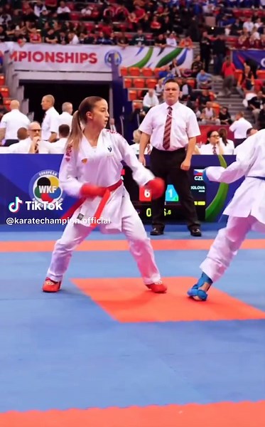 Kumite: The Art of Karate Competition