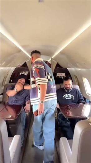 Ap Dhillon Personal Private Jet #apdhillon #provatejet