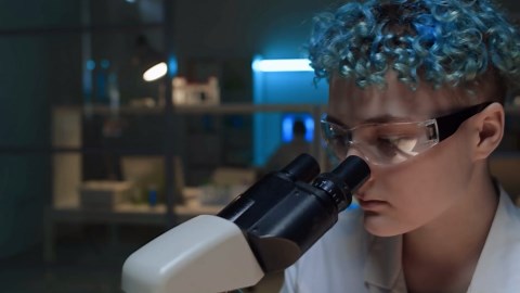 Gray Hair Can Be Reversed, Scientists Say