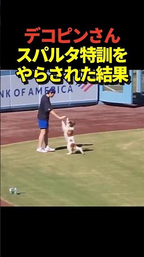 ㊗️140万再生！🐶ドジャースの大谷翔平投手がデコピンを猛特訓する！