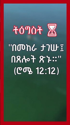 ትዕግስት ⏳ #የመፅሐፍ ቅዱስ ታሪክ || Amharic Bible Story #amharicbiblestory #biblestories #habesha #መጽሐፍቅዱስ