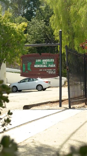 Hidden in the hills of Calabasas lies a Hollywood landmark with a timeless story — Los Angeles Pet Memorial Park & Crematory. 🐾✨ 🦁🐎 Home to beloved animal stars like the MGM Lion and Topper the horse, this peaceful memorial park honors generations of pets and Hollywood legends. As Halloween approaches, discover one of the area’s most unique and historic sites — and please remember to be respectful when visiting this special place. 🔗 Learn more: https://lapetcemetery.com/ #CityofCalabasas #Lo