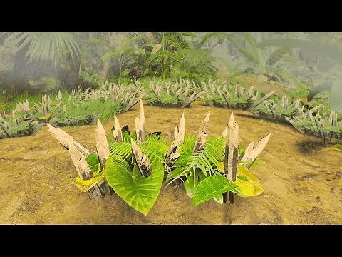 Rainforest Survival Building Primitive Traps - Green Hell VR