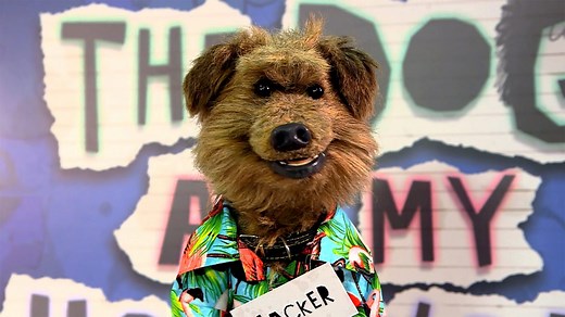 The Dog Ate My Homework – Homophones / Joke Telling