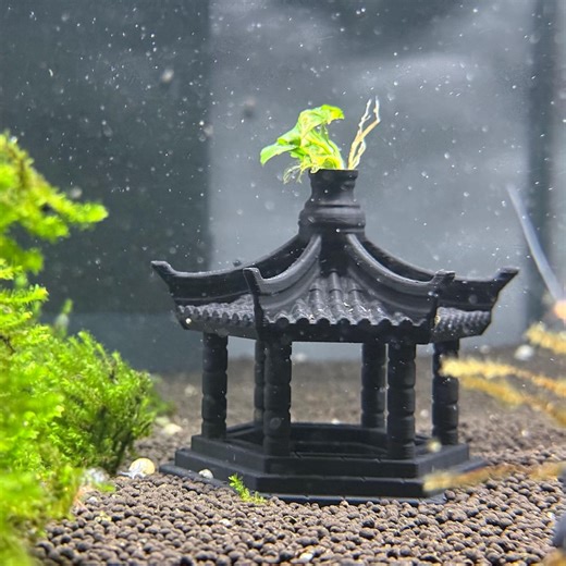 Aquarium-Deko Pagode 3D-Druck – Asiatisches Tempel Design – Aquascaping Ornament – Zen Wasserdeko – Geschenk für Aquaristik Fans - Etsy.de