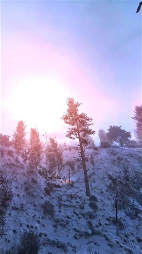 Winter in the Zone Hits Different | STALKER GAMMA #shorts