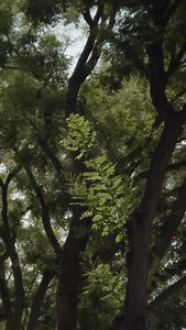 26K views · 101 reactions | OPEN STUDIO Zara Home presents its new Stationery collection. A refined design of precise lines, where function guides form. Explore the collection at zarahome.com #zarahome | Zara Home | Facebook