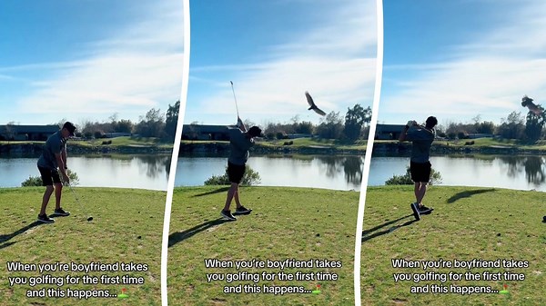 Golfer practicing swing accidentally hits bird
