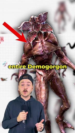 Understanding the Full Life Cycle of Demogorgons