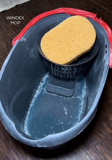 *off brand windex 😆 that dump at the end was cloudyyyy this was a request but I can’t tag her due to her privacy settings so thank you Rhi! This cleaned really well ☺️ #mopping #cleaninghacks #cleaningmotivation #cleantok #satisfying