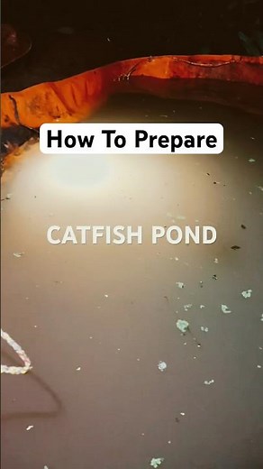 Preparing a Catfish Pond from Scratch Silent Cinematic Farming
