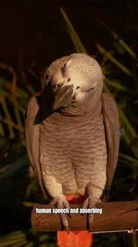 The Parrot That Solved a Cold Case by Repeating the Victim’s Last Words 🦜🔍 | True Mystery