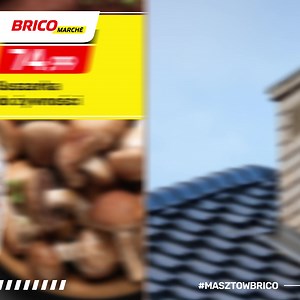 Nowa gazetka Brico już jest, a w niej jesienne HITY! 🧡 Zobacz i przygotuj się na nowy sezon 👌 www.bricomarche.pl/lp-lista/4293 | Bricomarché Polska