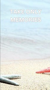 Best Travel Motivation Quote? - travel quotes about adventure | best travel and adventure quotes
