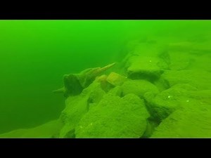 Scuba Diving in Beaver Lake, AR