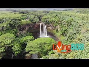 Comedy Legend Eddie Griffin Brings the Laughs to Blue Note Hawaii and Living808