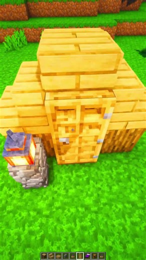 The Tiniest Minecraft House You Can Actually Enter💀