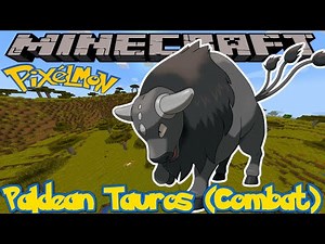 HOW TO FIND PALDEAN TAUROS (COMBAT BREED) IN PIXELMON REFORGED - MINECRAFT GUIDE - VERSION 9.1.4