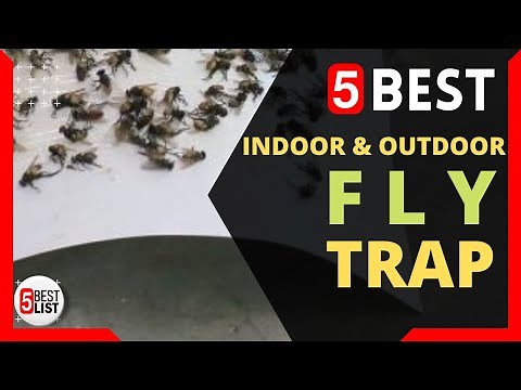 🏆 5 Best Fly Trap for Indoor & Outdoor You Can Buy In 2021