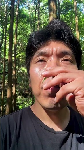 茗荷の葉を食べてみる！もう茗荷買わなくていい！？ #茗荷 #草食う #野草 #茗荷の葉