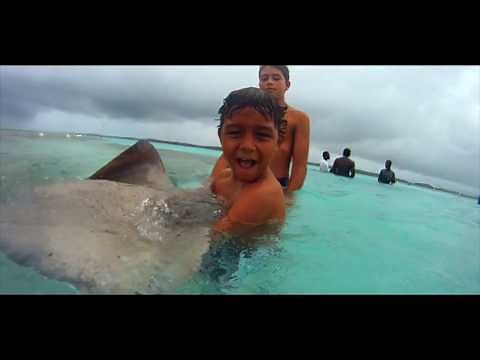 Exploring Antigua and Barbuda's 365 Beaches