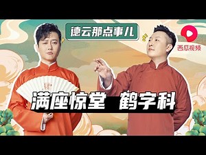 【鹤字科】有致命缺陷 导致德云社“鹤字科”成材率最低 ？德哥来说道说道 | 德云那点事儿 #鹤字科 #孟鹤堂