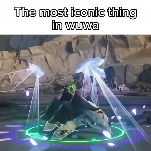 Dancing Turtle #wutheringwaves #rinascita #dancingturtle