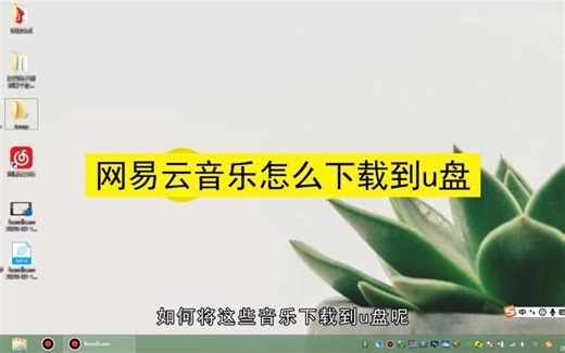 网易云音乐怎么下载到u盘，网易云音乐下载到u盘