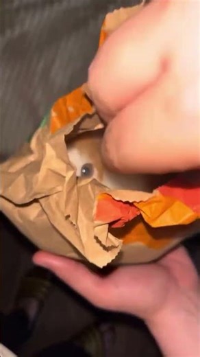 #fypシ #fypシ #gaming101 #learnontiktok #experiment #mythbusters #oneminute #quicktips