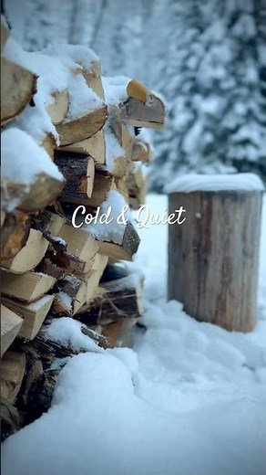 Slow Living in Real Alaska Winter | Peaceful Morning. #slowliving #alaska #natureshorts#naturelovers