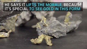 GOLD SPECIMENS: Do you know what gold looks like in its most natural state? As modern mining continues to get better and better at extracting the precious metal from the earth, rare gold specimens like these from the Beta Hunt Mine near Kambalda stand out. Geological manager at the mine John Vinar says seeing gold in host rock like this is uniquely special. | ABC Goldfields-Esperance