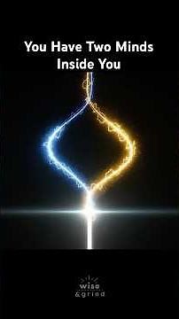 You Have Two Minds Inside You