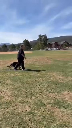 The Difference Maker Dog Trainer on Reels