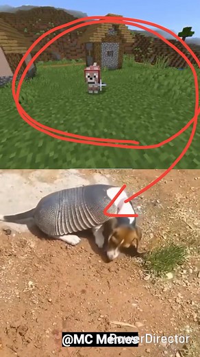 Minecraft in real life #minecraft #minecraftmemes #gamingcommunity #fyp | MC Memes