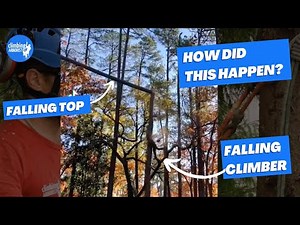 Climber falls from tree after taking the top out - HOW AND WHY did this happened? REACTION VIDEO