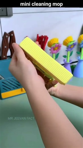 mini cleaning mop । #shorts #ytshorts @FactTechz