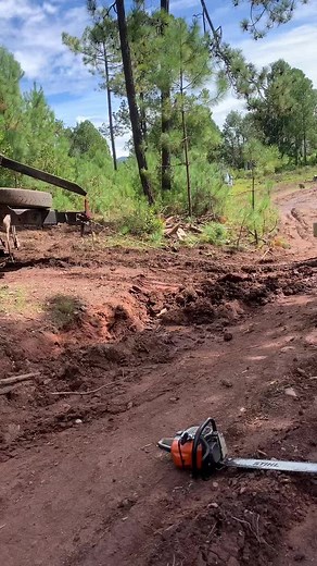 Logging Truck in Action: Stein's Pine Forest Adventure